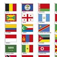 Politická nástěnná mapa světa v ČJ s vlajkami