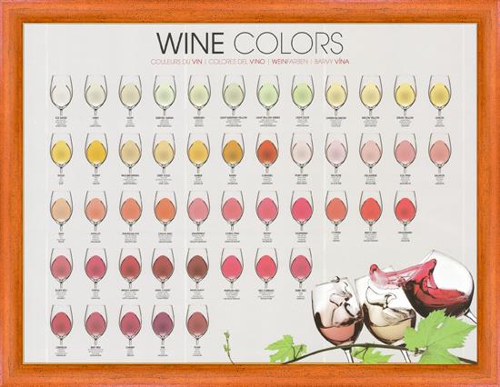 Poster Barvy vína
