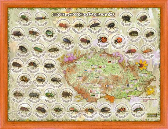 Brouci a zoologické zahrady v ČR