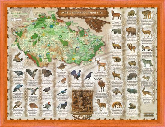 Zvěř a chráněná území v ČR